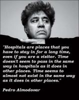 Pedro Almodovar's quote