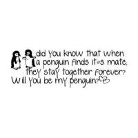 Penguin quote #2