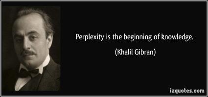 Perplexity quote #1