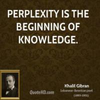 Perplexity quote