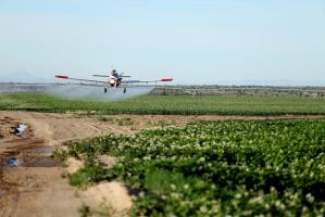 Pesticides quote #2