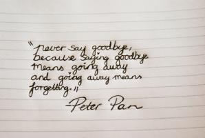 Peter Pan quote #2
