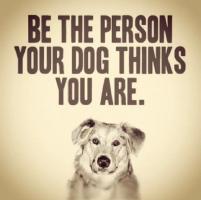 Pets quote #3