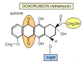 Pharmacology quote #2