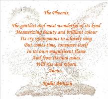 Phoenix quote #2