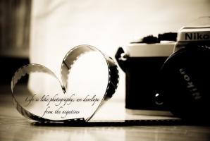 Photographer quote #2