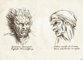 Physiognomy quote #2