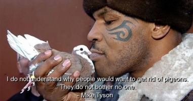 Pigeons quote #1