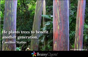 Plants And Animals quote #2