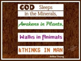 Plants And Animals quote #2