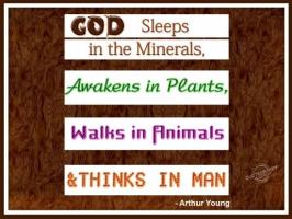 Plants And Animals quote #2