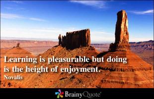 Pleasurable quote #2