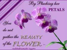 Plucking quote #2