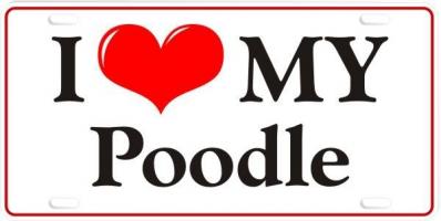 Poodles quote #2