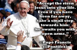 Pope Francis's quote