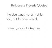 Portuguese quote #1