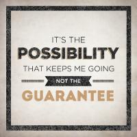 Possibility quote #2