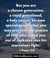 Priesthood quote #1