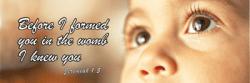 Pro-Life quote #2