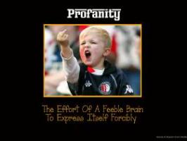 Profanity quote #1