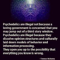 Psychedelics quote #2