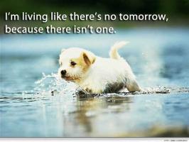 Puppies quote #2