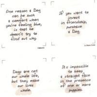 Puppy quote #2