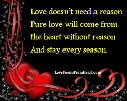 Pure Love quote #2