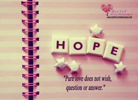 Pure Love quote #2