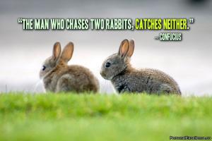Rabbits quote #2