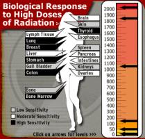 Radiation quote #2