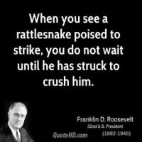 Rattlesnake quote #2