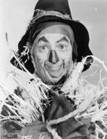 Ray Bolger profile photo