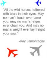 Ray LaMontagne's quote