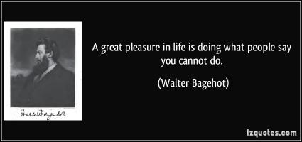 Real Pleasure quote #2