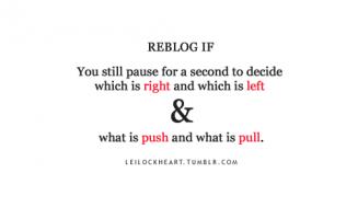 Reflexes quote #2