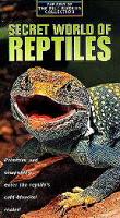 Reptiles quote #2