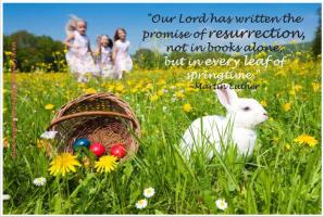 Resurrection quote #2