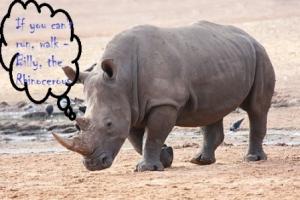 Rhinoceros quote #2