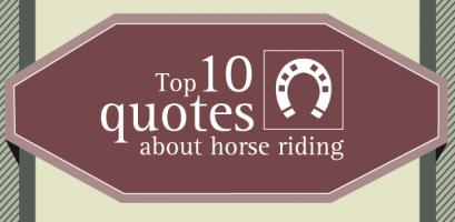 Ridding quote #2