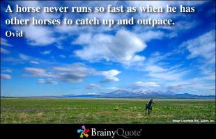 Ride Horses quote #2