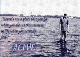 Rip quote