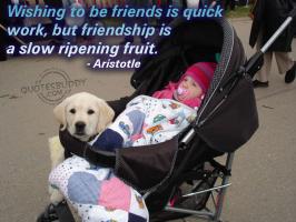 Ripening quote #2