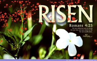 Risen quote #1