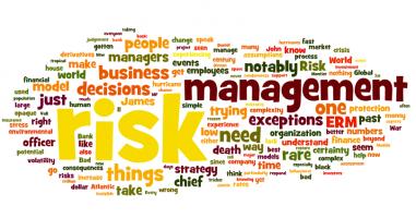 Risk Management quote #2