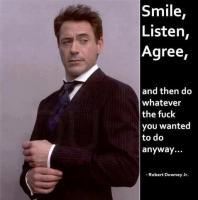 Robert Downey, Jr.'s quote