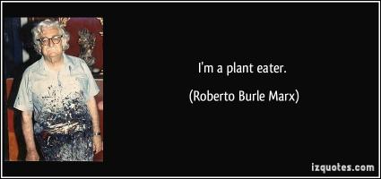 Roberto Burle Marx's quote #4