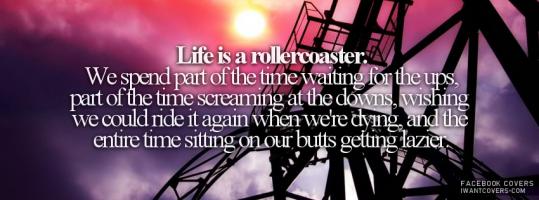 Rollercoaster quote #2