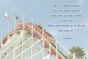 Rollercoaster quote #2