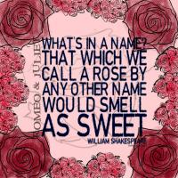 Romeo And Juliet quote #2